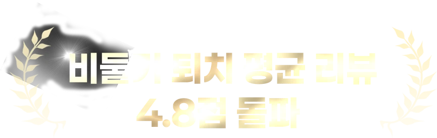 비둘기 퇴치 평균 리뷰 4.8점 돌파