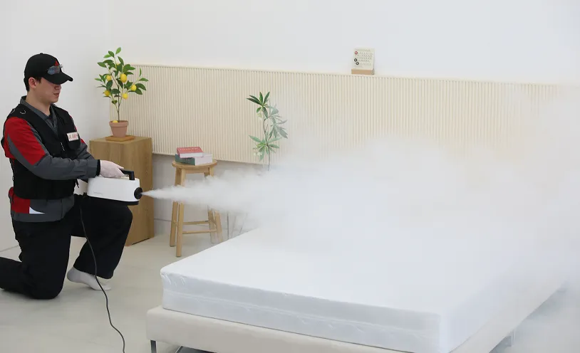 STEP 5 피톤치드 소독